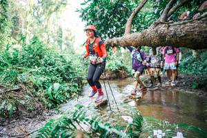 BIB: 
                            <button type="button" onclick="openModal(25517177)" class="btn btn-primary btn-sm float-right btn-popup" data-toggle="modal" data-target=".modal-high-quality">
                        <i class="fas fa-shopping-cart"></i> Add to Cart
                    </button>
                                            <button type="button" onclick="isThisMe(25517177, true)" class="btn btn-success btn-sm float-right btn-popup btn-isme hidden" data-toggle="tooltip" data-placement="bottom" title="นี่คือรูปของคุณใช่ไหม คลิกที่นี่เพื่อเอาเข้าอัลบั้ม">
                        <i class="fas fa-plus"></i> Add to album
                    </button>
                    <button type="button" onclick="isThisMe(25517177, false)" class="btn btn-warning btn-sm float-right btn-popup btn-isnotme hidden">
                        <i class="fas fa-ban"></i> Remove from album
                    </button>